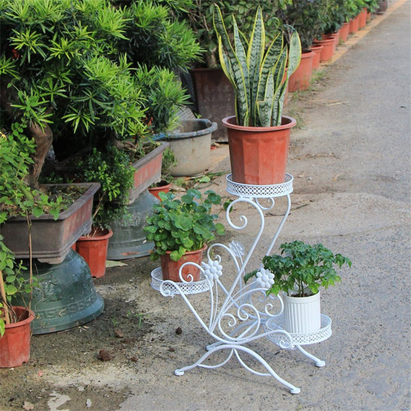 Astoria Grand Pizano Round Etagere Plant Stand Wayfair.co.uk